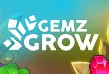 Gemz Grow brabet